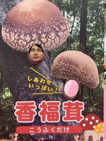 後藤雅